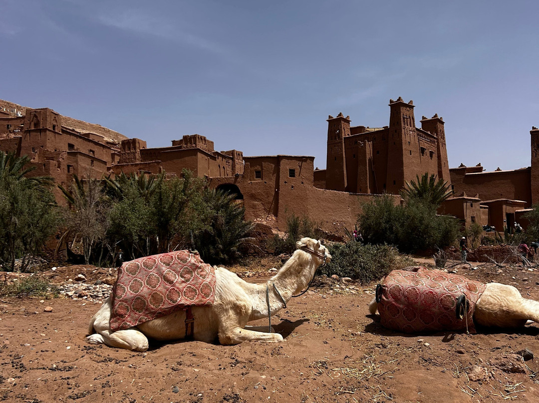 Explore Marrakech Trips-马拉喀什必去景点