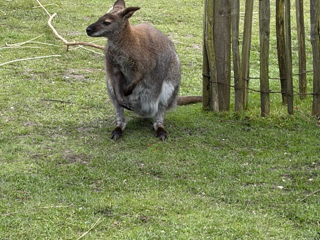Peak Wildlife Park-Winkhill必去景点