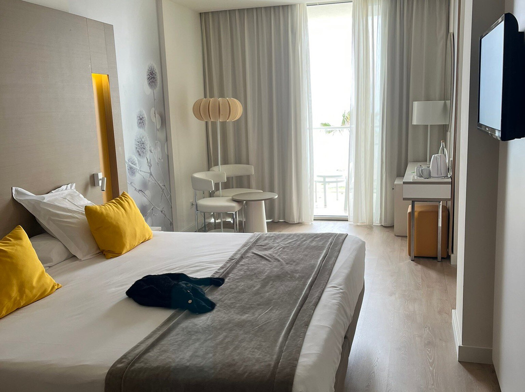 Protur Playa Cala Millor Hotel主图