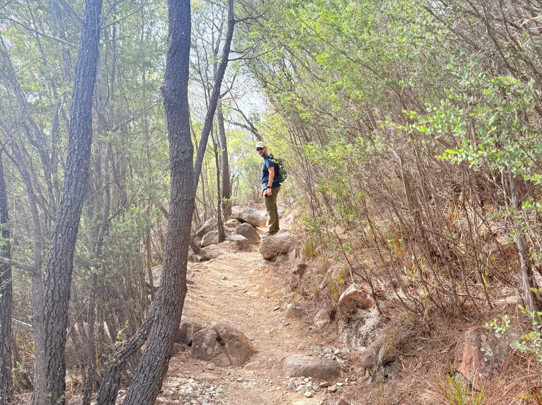 Freycinet National Park-科尔斯湾必去景点