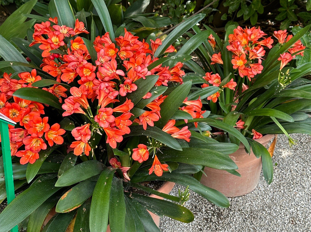 Botanical Garden-萨格勒布必去景点