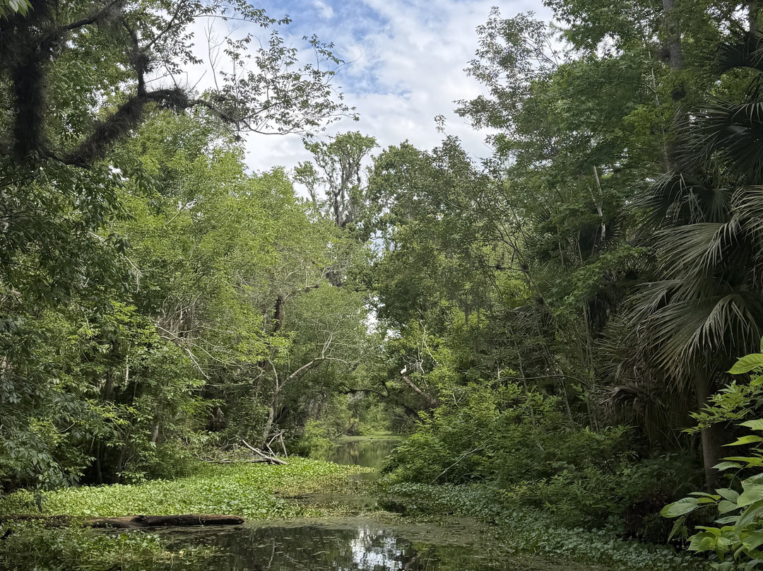 Airboat and Gator Charters-De Leon Springs必去景点