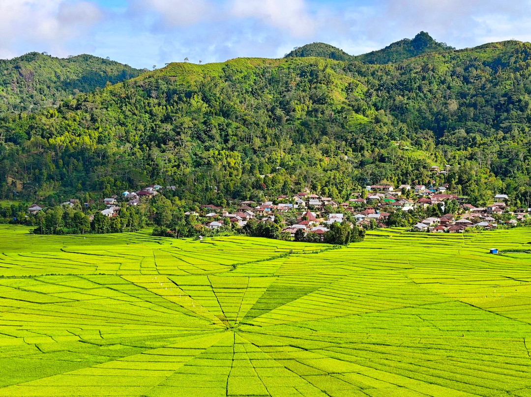 Flores Pristine Tour-Labuan Bajo必去景点