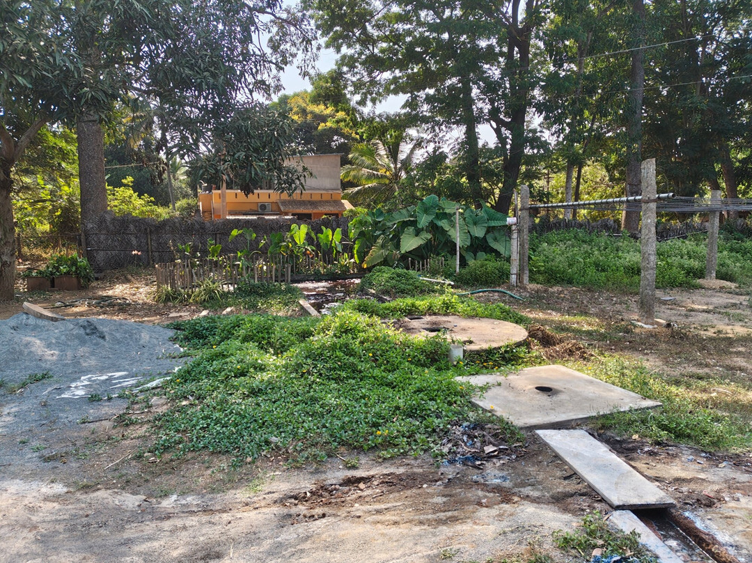 The Colours Of Nature-Auroville必去景点