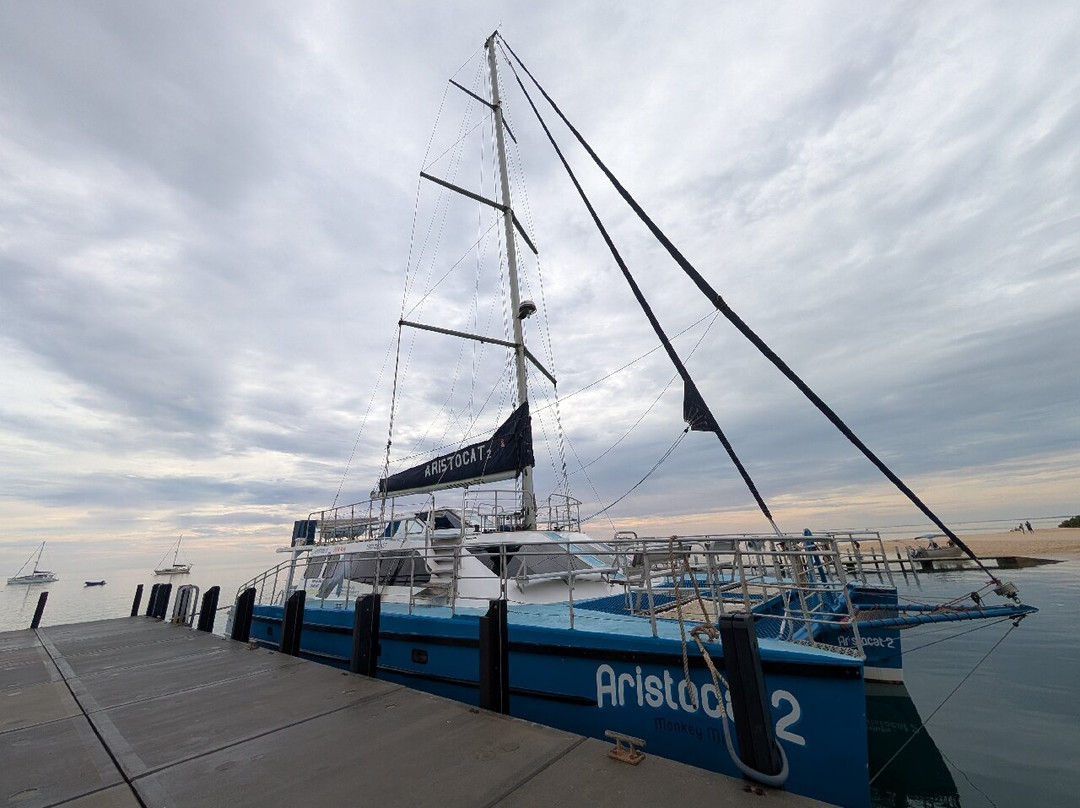 Perfect Nature Cruises-Monkey Mia必去景点
