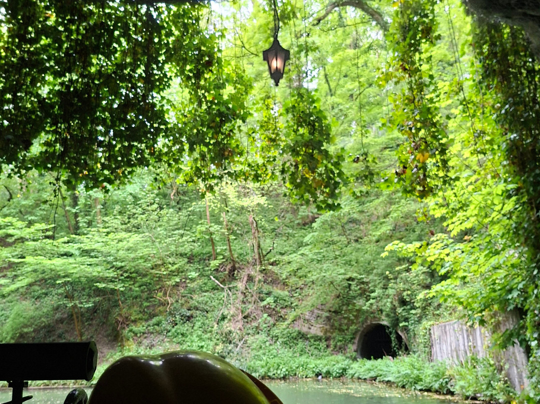 Dudley Canal & Caverns-Dudley必去景点