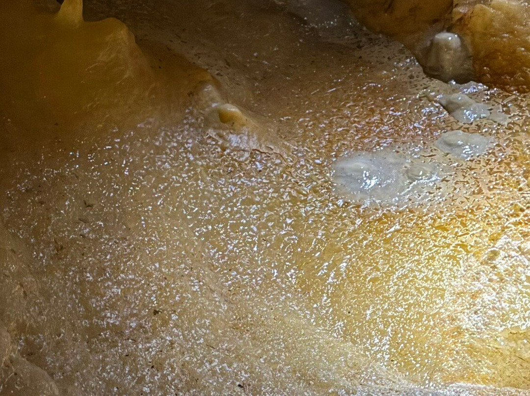 Grotte du Grand Roc-Les Eyzies-de-Tayac-Sireuil必去景点