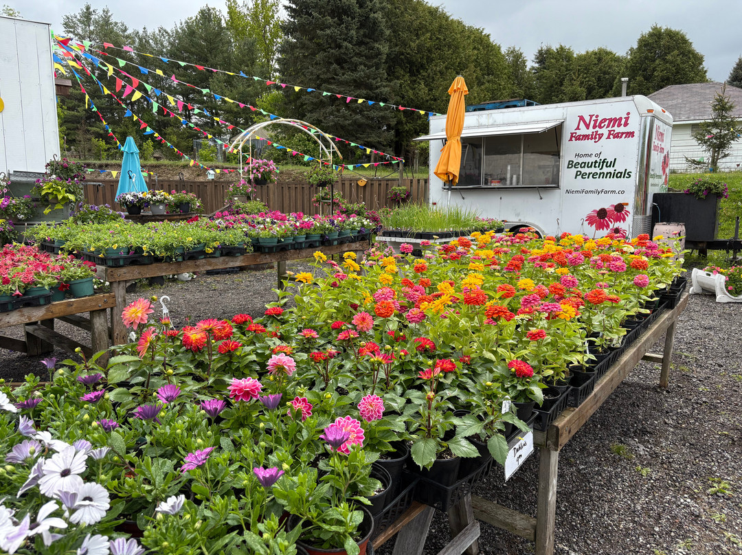 Niemi Family Farm