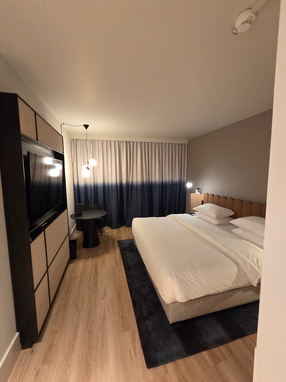 奥芬巴赫喜来登酒店-旅行者