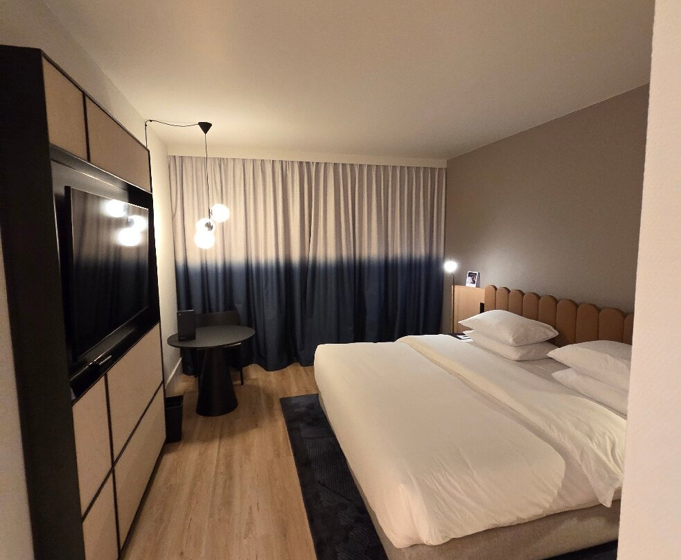 奥芬巴赫喜来登酒店主图