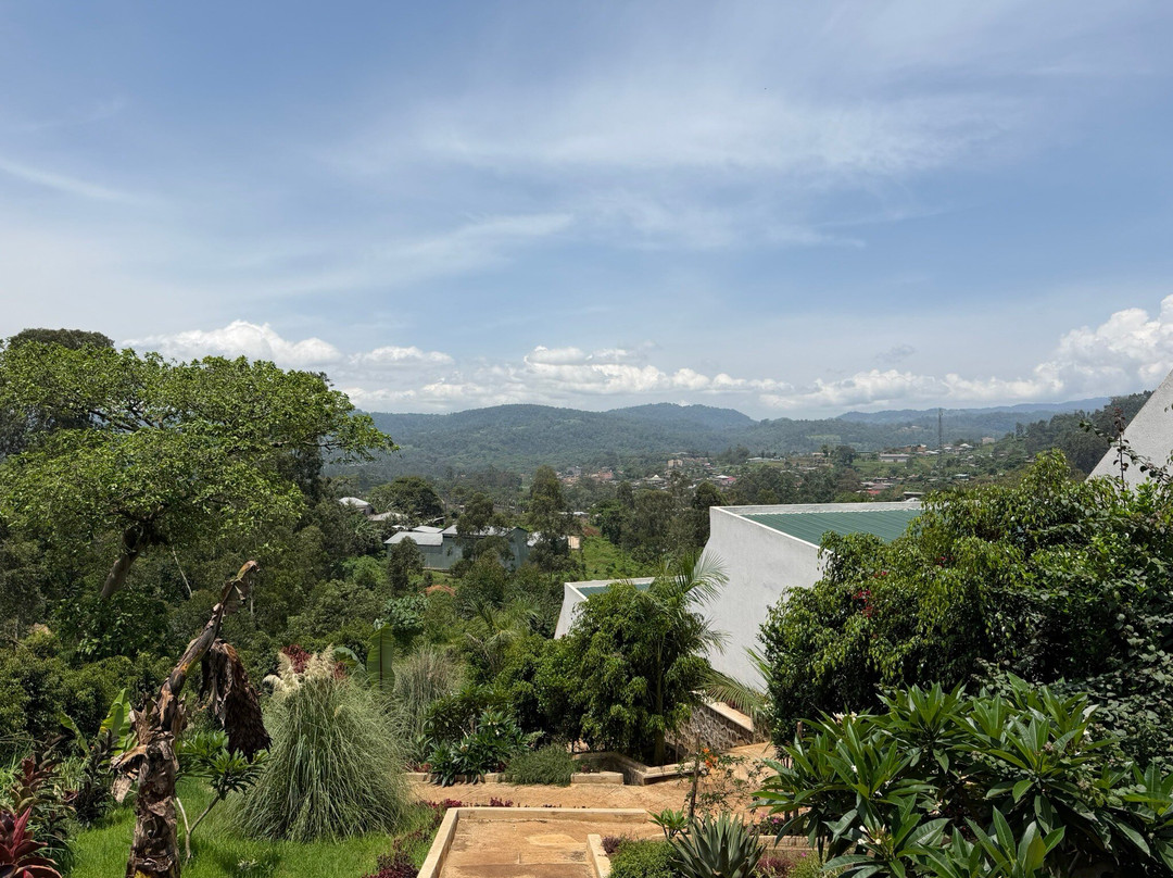Lewi Resort Bonga