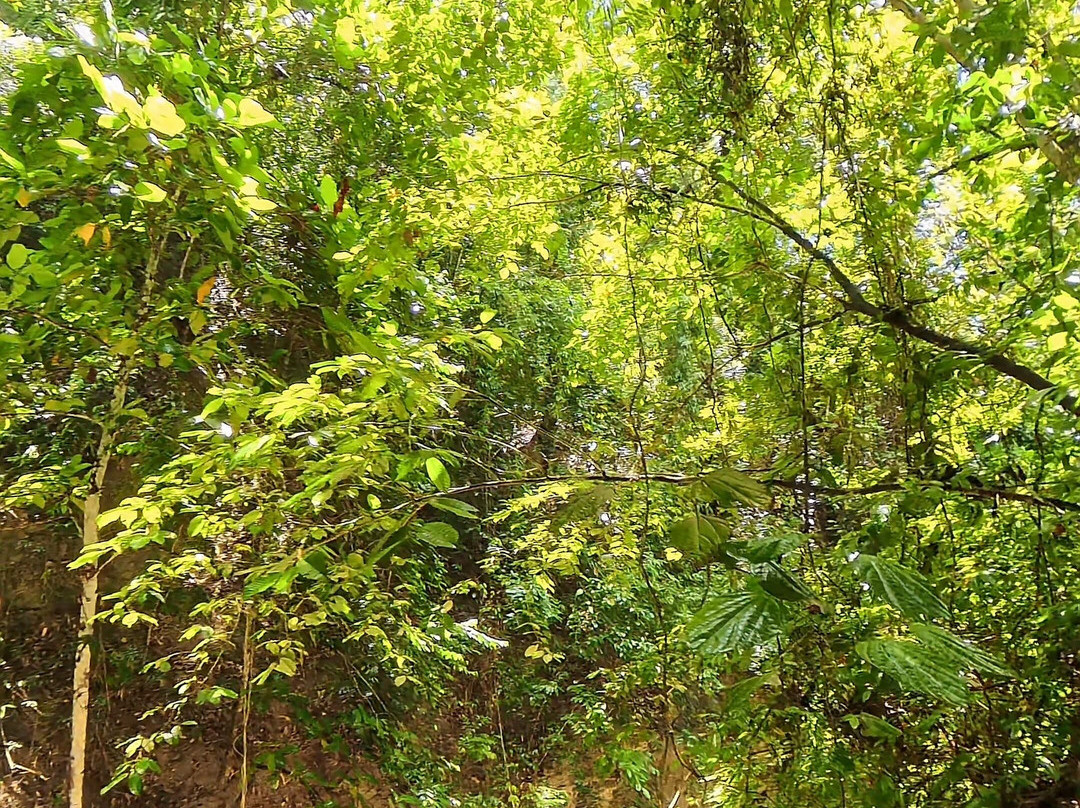 Aguinid Falls-参波恩必去景点