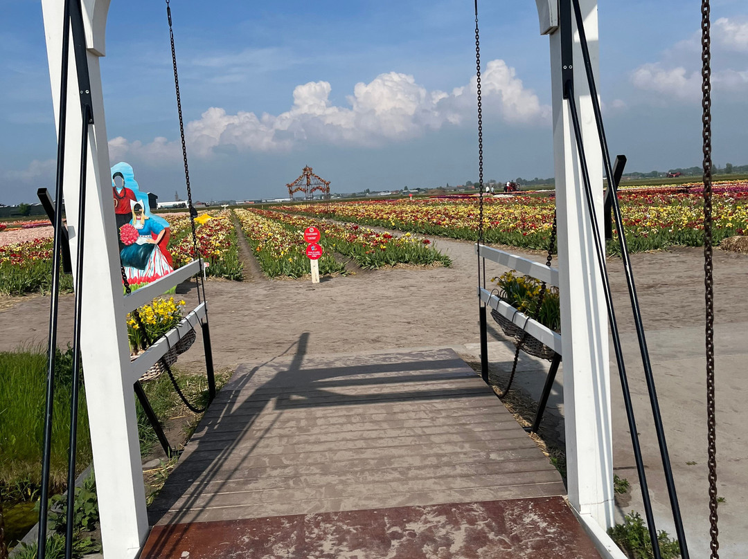 Tulip Experience Amsterdam-诺德韦克豪特必去景点
