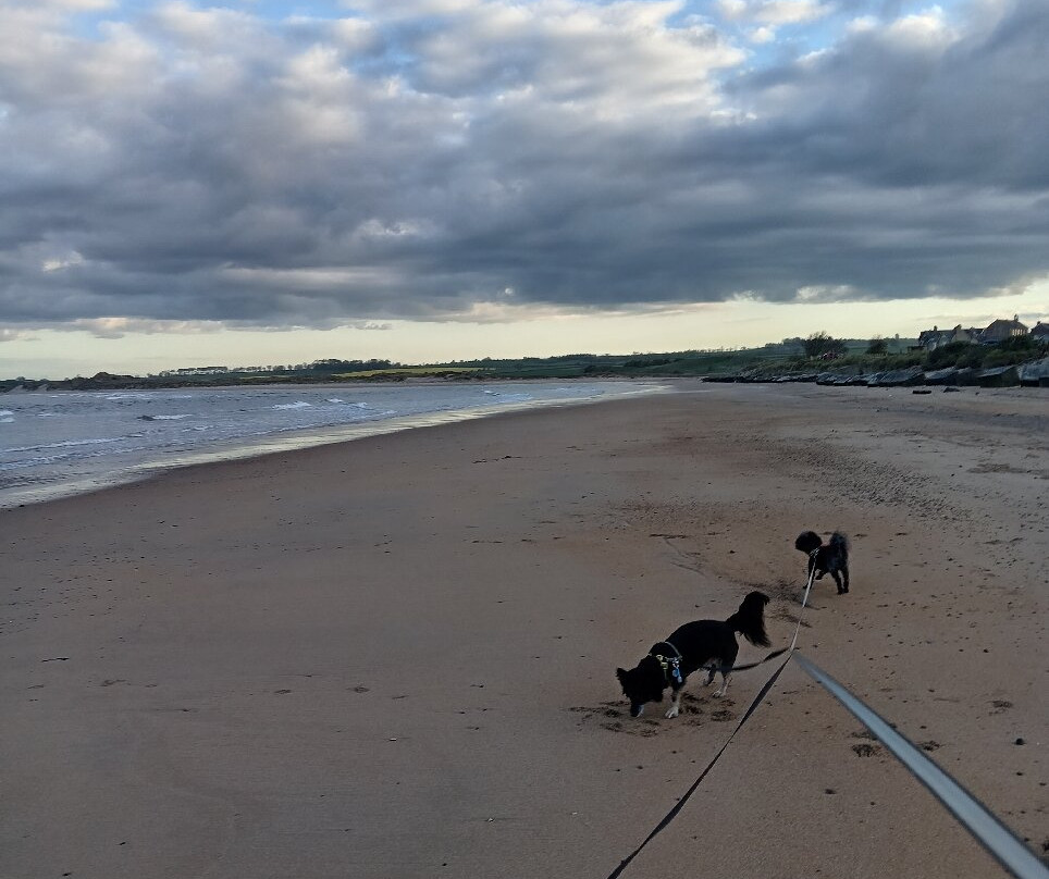 Alnmouth Beach-Alnmouth必去景点