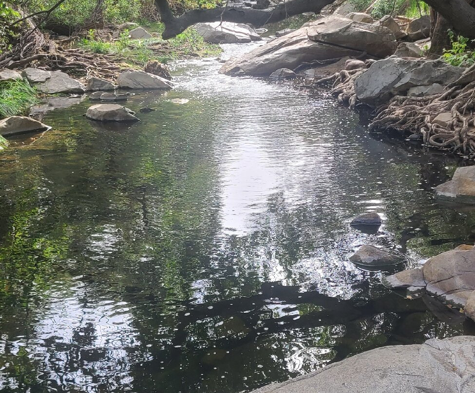 Elfin Forest Recreational Reserve-埃斯孔迪多必去景点