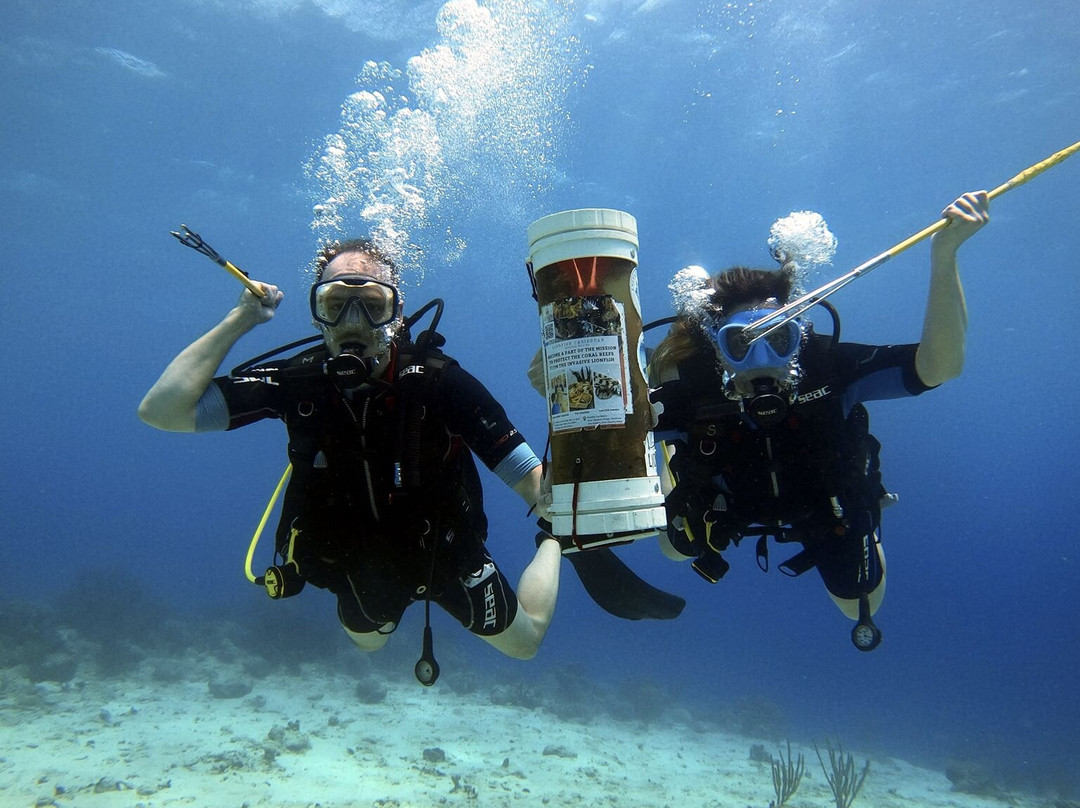 Central Dive Curacao-威廉斯塔德必去景点