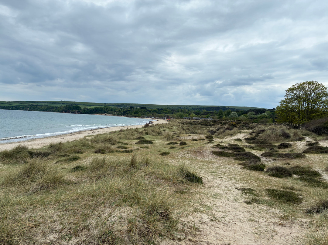 Studland beach and Nature Reserve-Studland必去景点