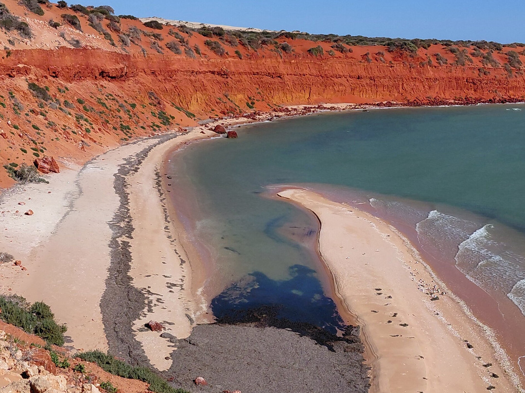 Shark Bay Coastal Tours-德纳姆必去景点