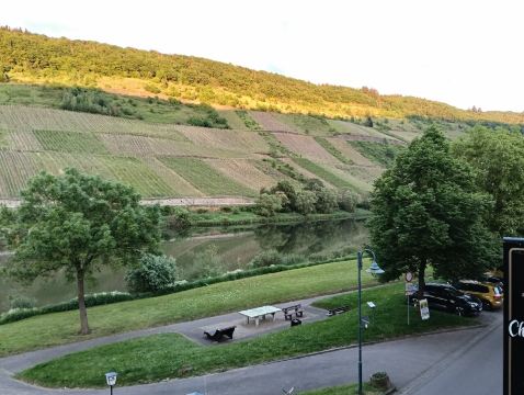 Ferienweingut Haus Karina-旅行者