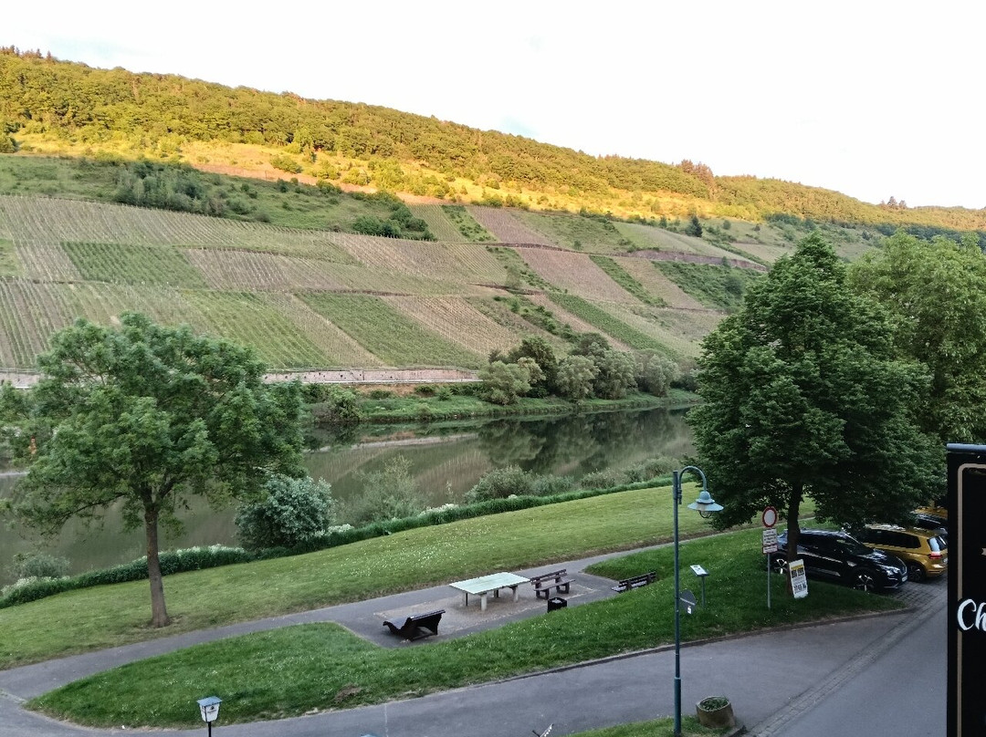 Ferienweingut Haus Karina主图