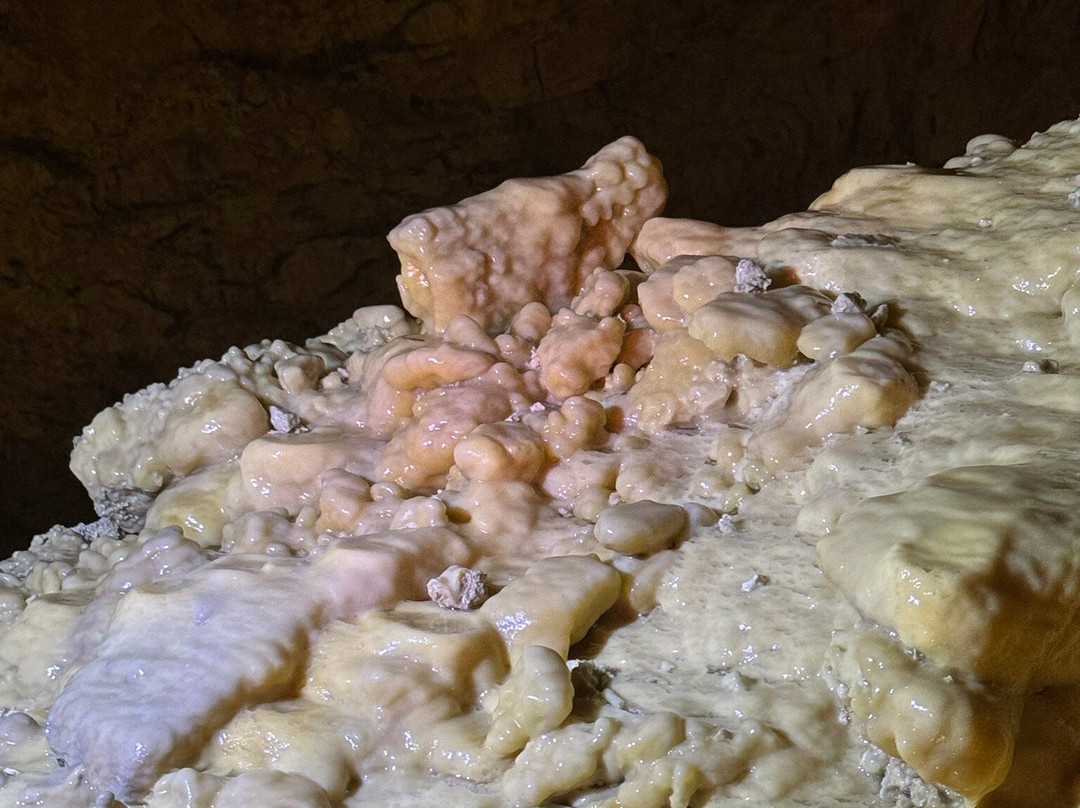 Kaikōura Cave Tours-Kaikoura必去景点