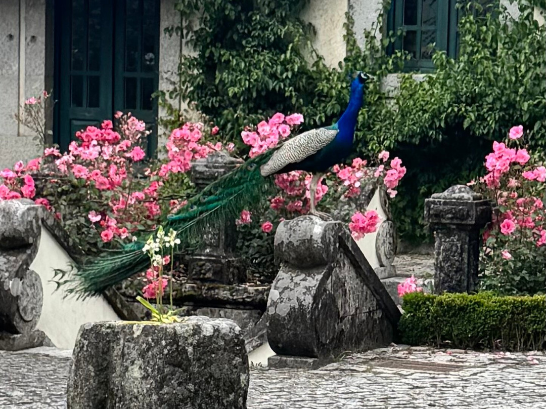 Quinta da Aveleda-Penafiel必去景点