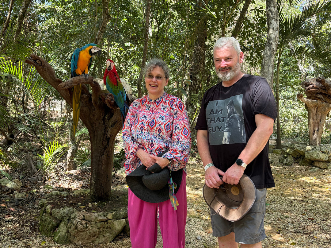 Akumal Monkey Sanctuary & Rescued Animals-艾库玛尔必去景点