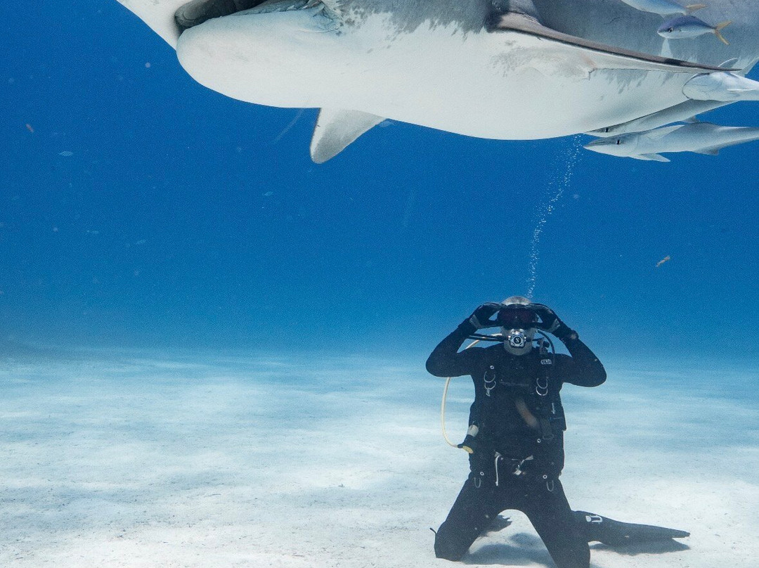 Epic Diving-West End必去景点