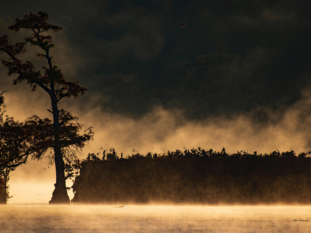 Reelfoot Lake-Tiptonville必去景点