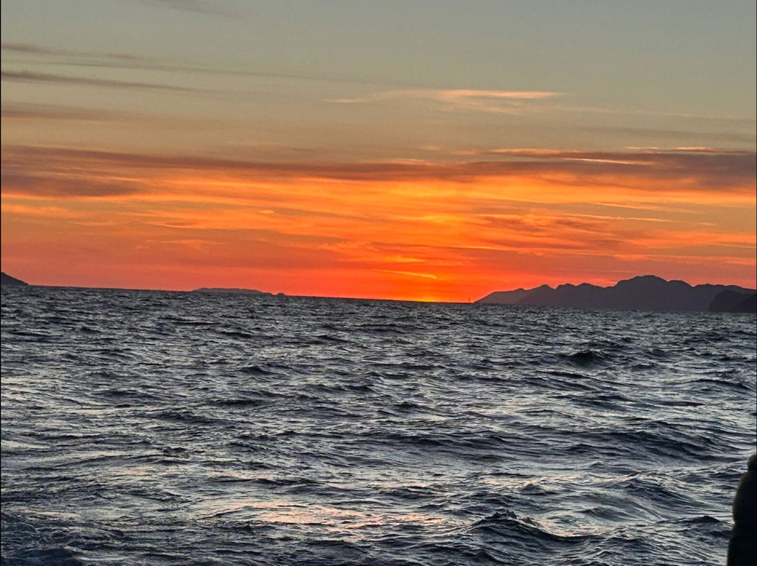 Galeb Boat Tours-Kolocep Island必去景点