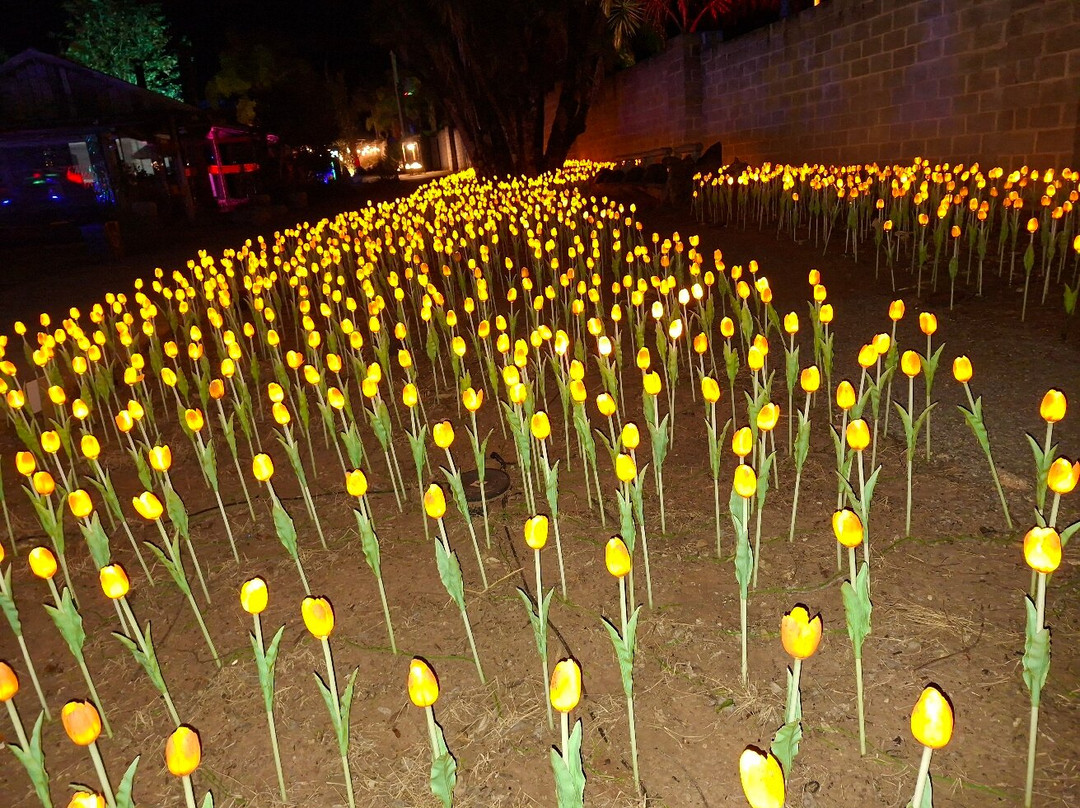 Lumni Gramado