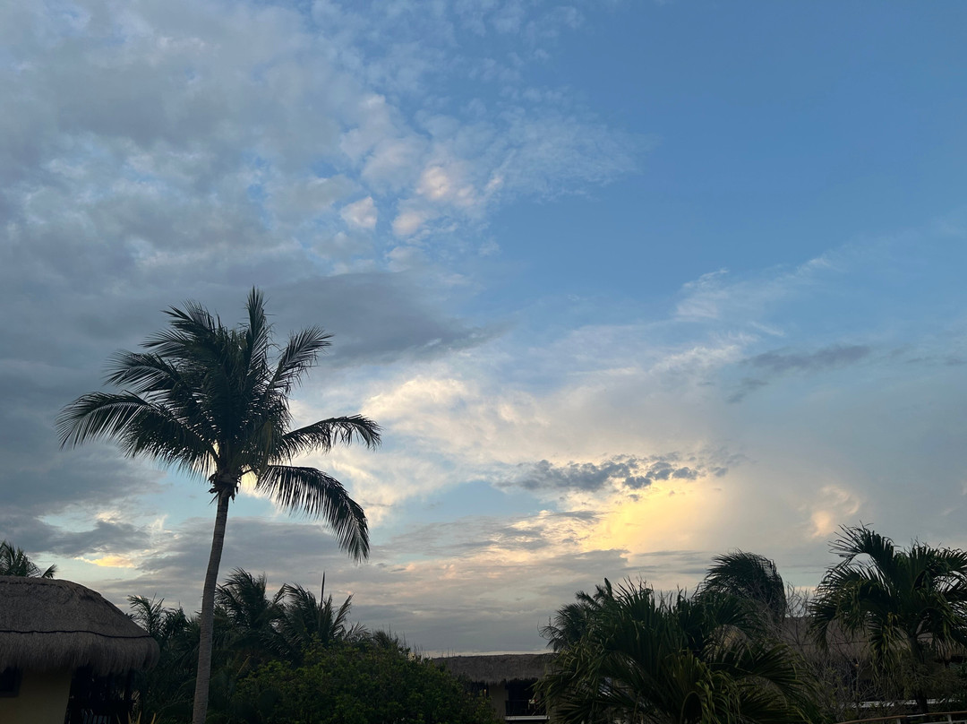 Catalonia Yucatan Beach - All Inclusive主图
