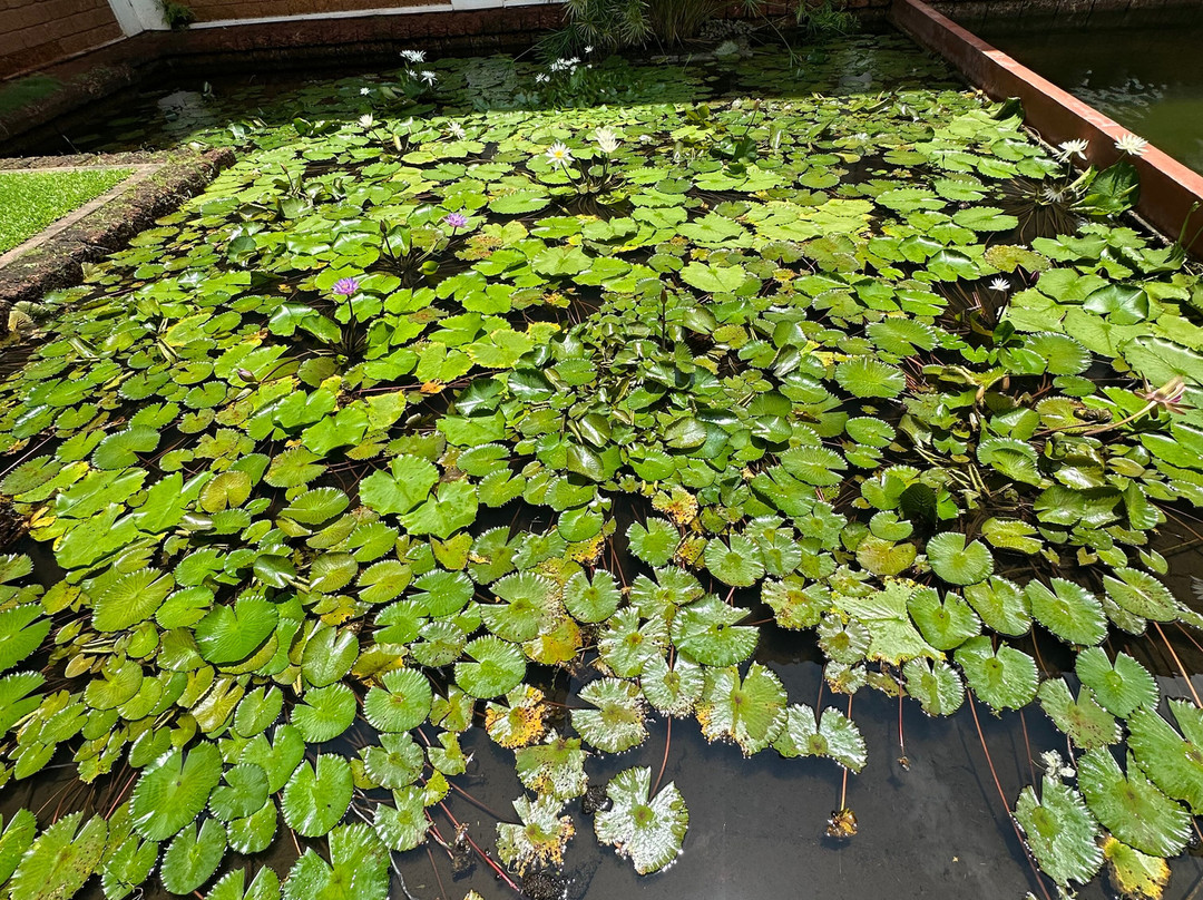 科泽科德拉菲斯卡达乌酒店主图