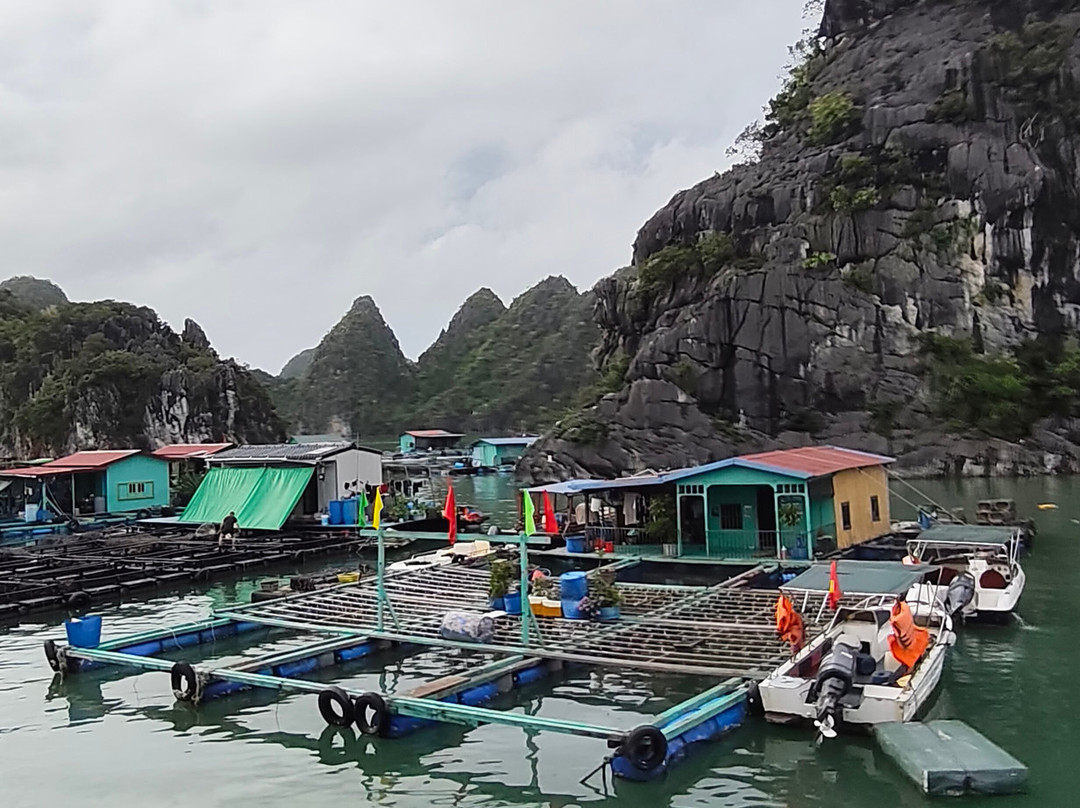 Cat Ba Green Trail Travel-Cat Ba Town必去景点