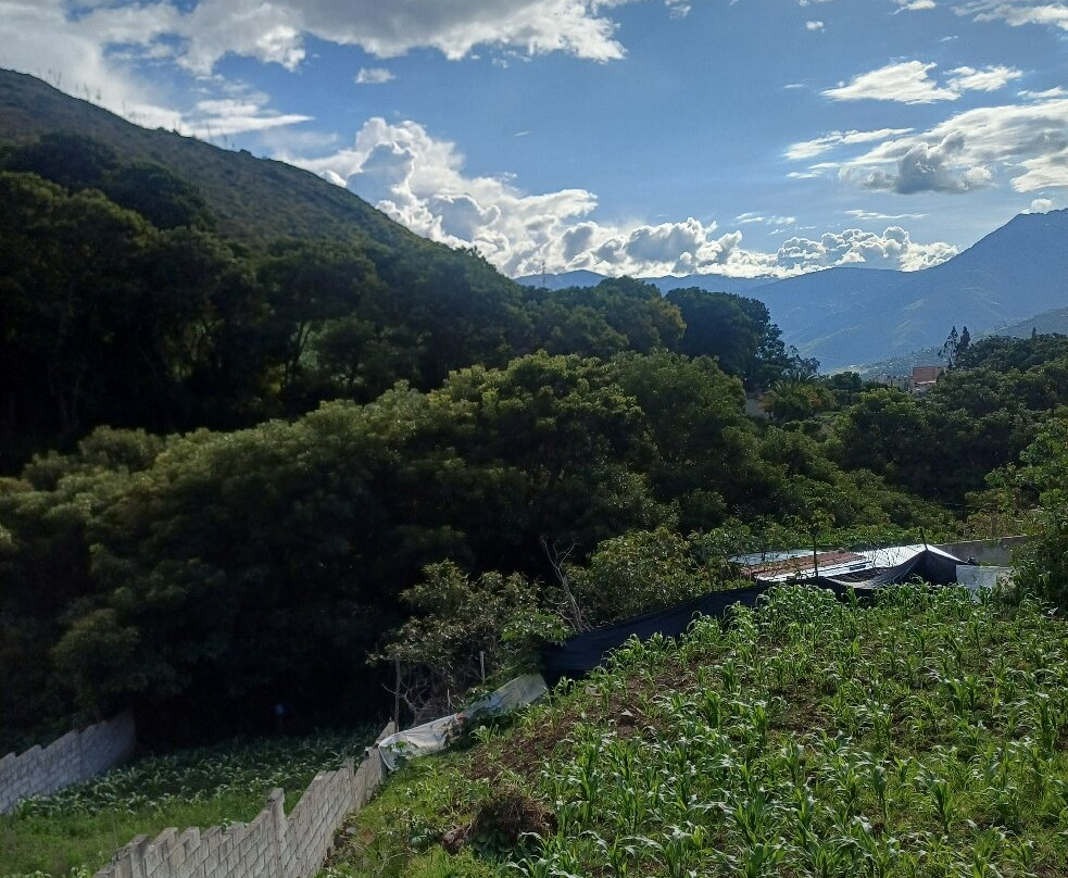 Nüa Restaurante