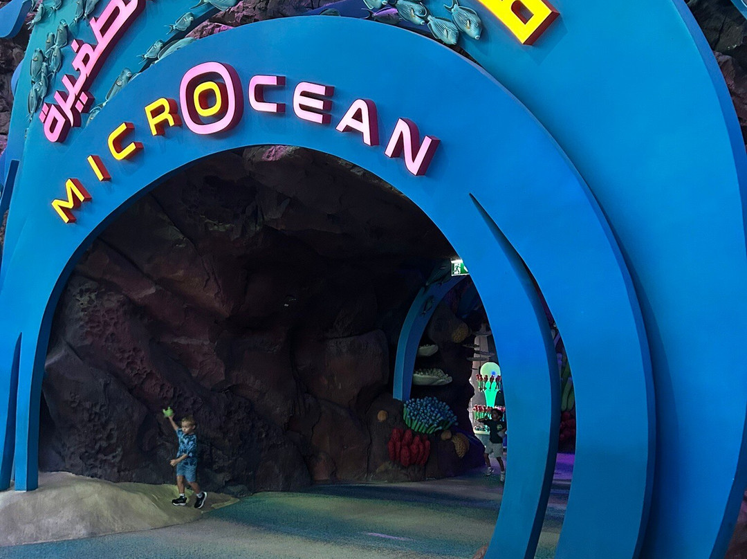SeaWorld Yas Island Abu Dhabi-阿布扎比必去景点