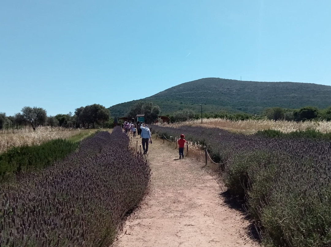 Bee Garden Alghero-阿尔盖罗必去景点
