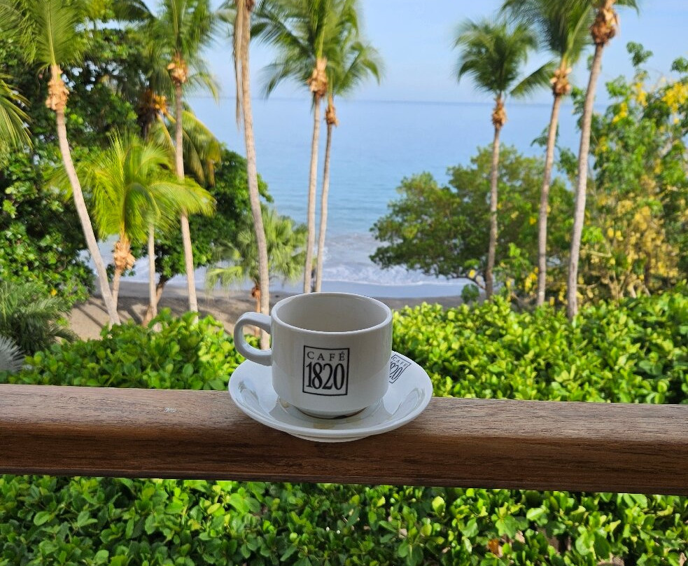 Hotel la Gaviota Tropical主图