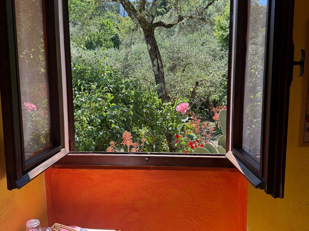 La Fattoria di Nonna Eugenia主图