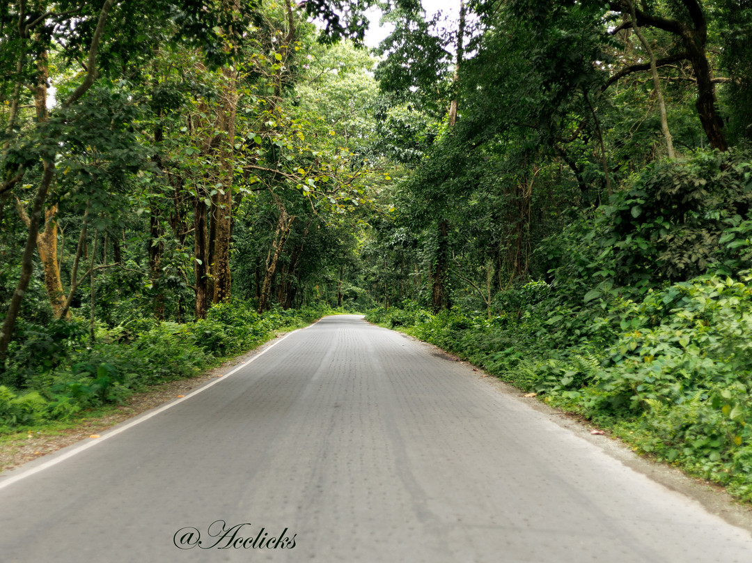 Jayanti Forest-Jalpaiguri必去景点