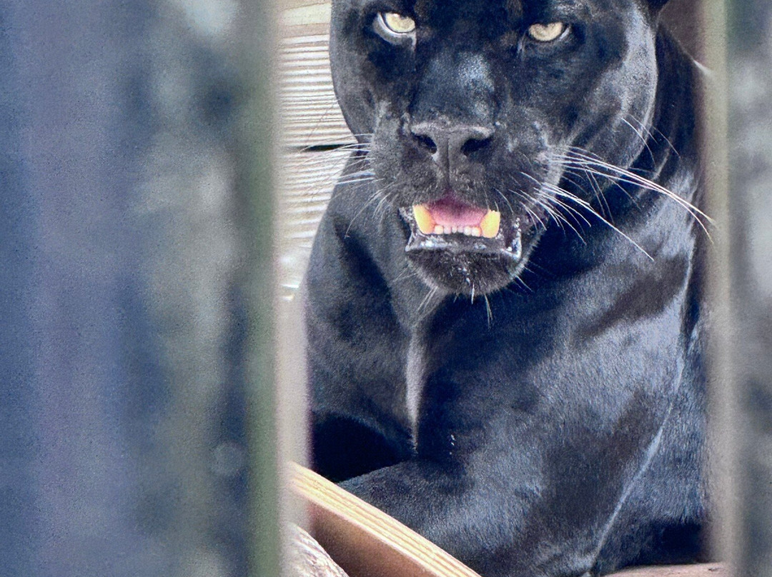 Panther Ridge Conservation Center-Loxahatchee必去景点