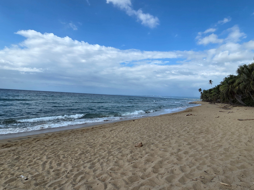 Sandy Beach East-吕康必去景点