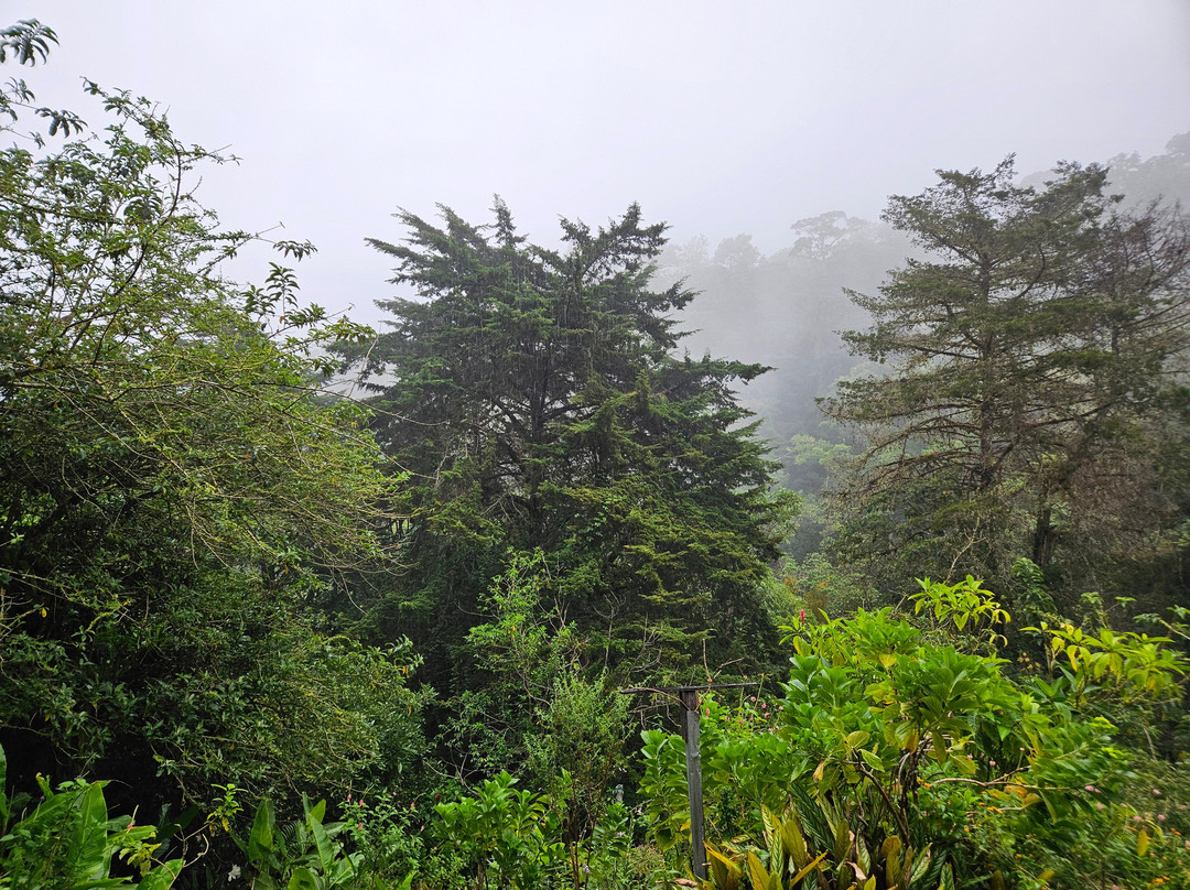 Cloudbridge Nature Reserve-San Gerardo De Rivas必去景点