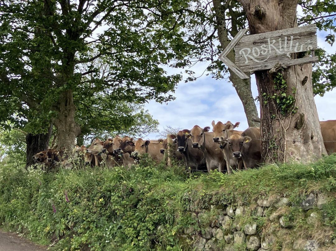 Roskilly's Farm-St Keverne必去景点