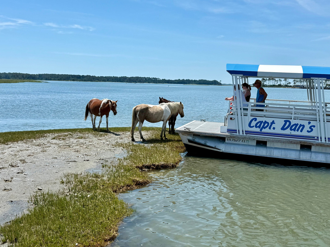 Captain Dan's Around the Island Tours-钦科蒂格岛必去景点
