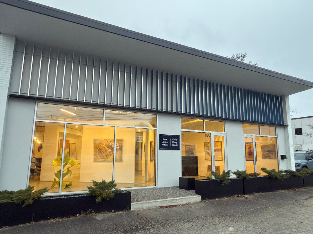 The Haen Gallery
