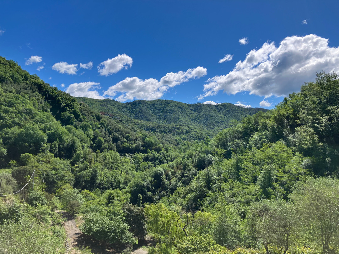 Agriturismo Valle Chiappella-San Colombano Certenoli必去景点