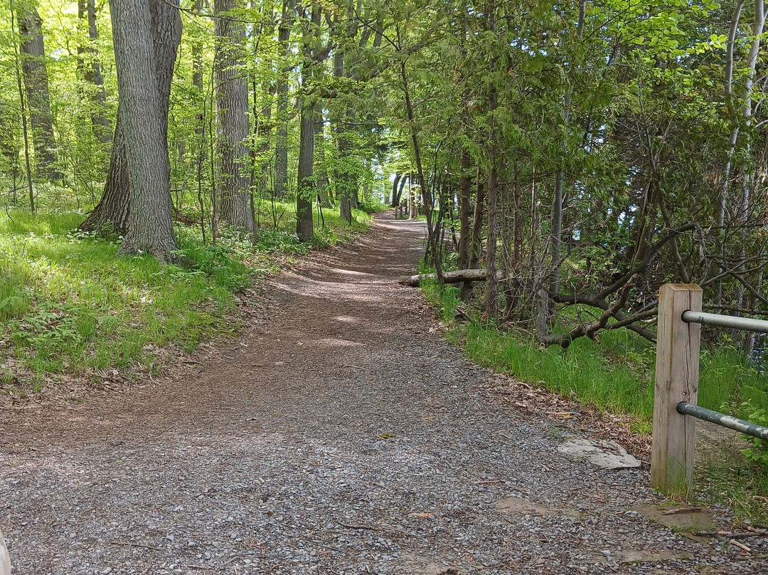Lemoine Point Conservation Area-金斯顿必去景点