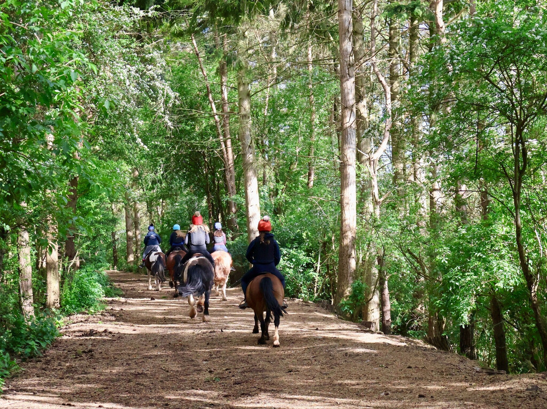 Noakes Farm Riding Centre-Bromyard必去景点