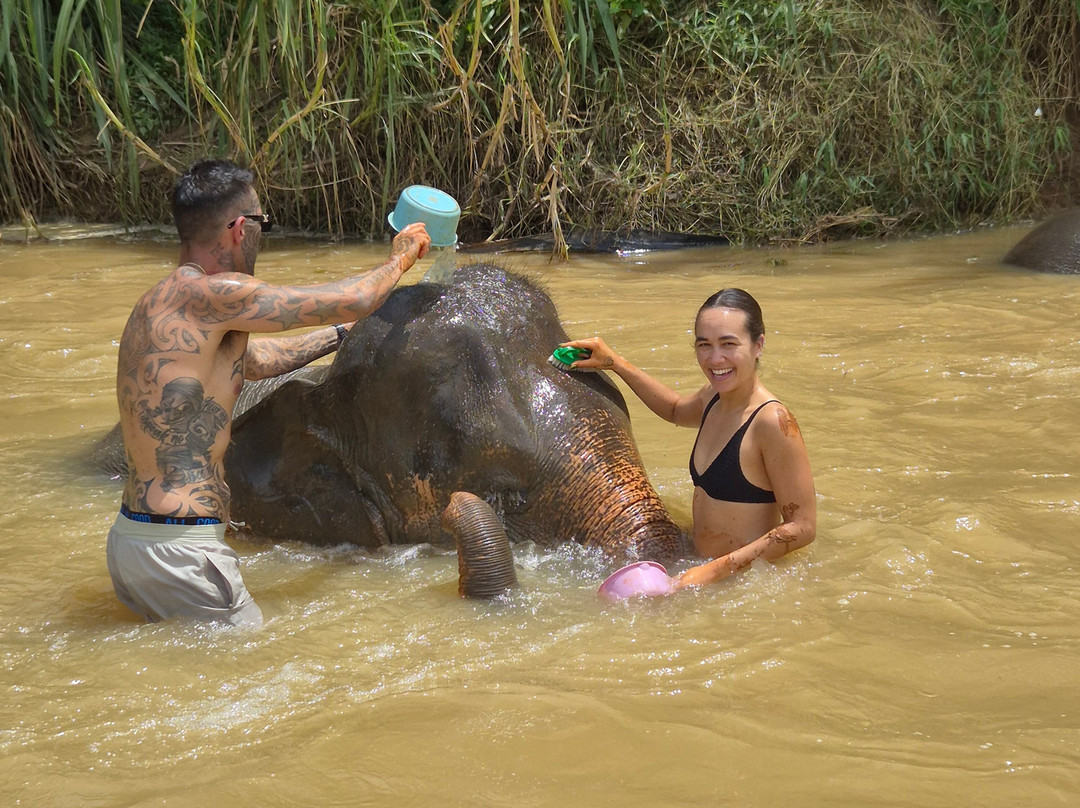 Krabi Elephant House Sanctuary-Sai Thai必去景点